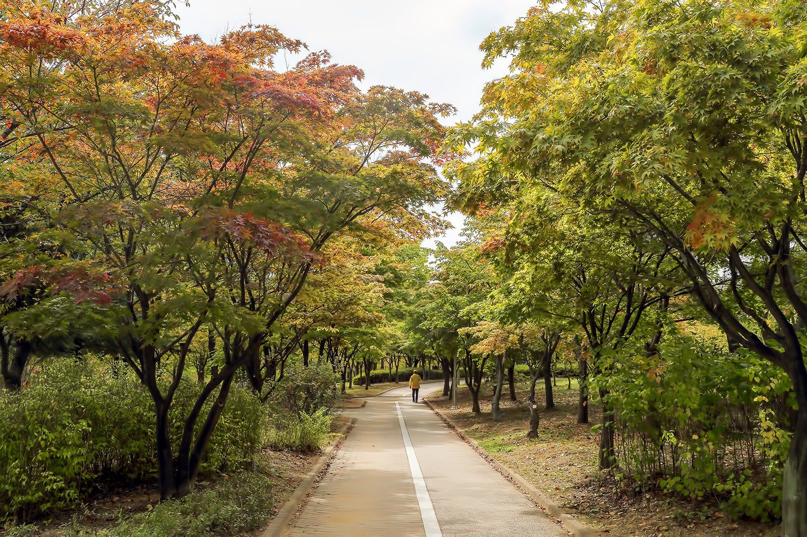 인천 자유공원