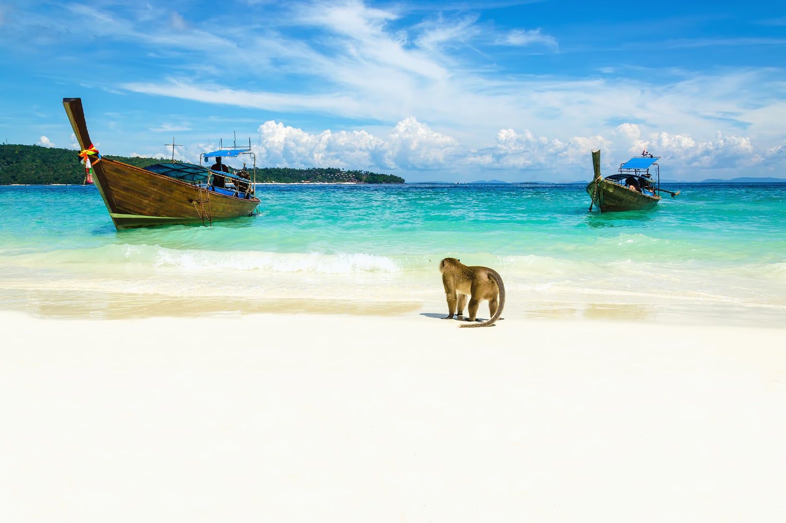 Monkey Beach in Phi Phi Island