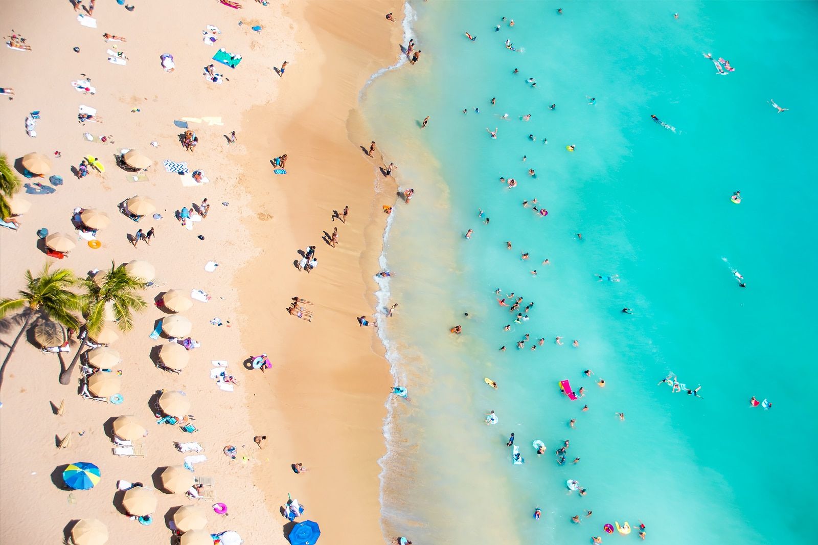 Best Beaches in Honolulu