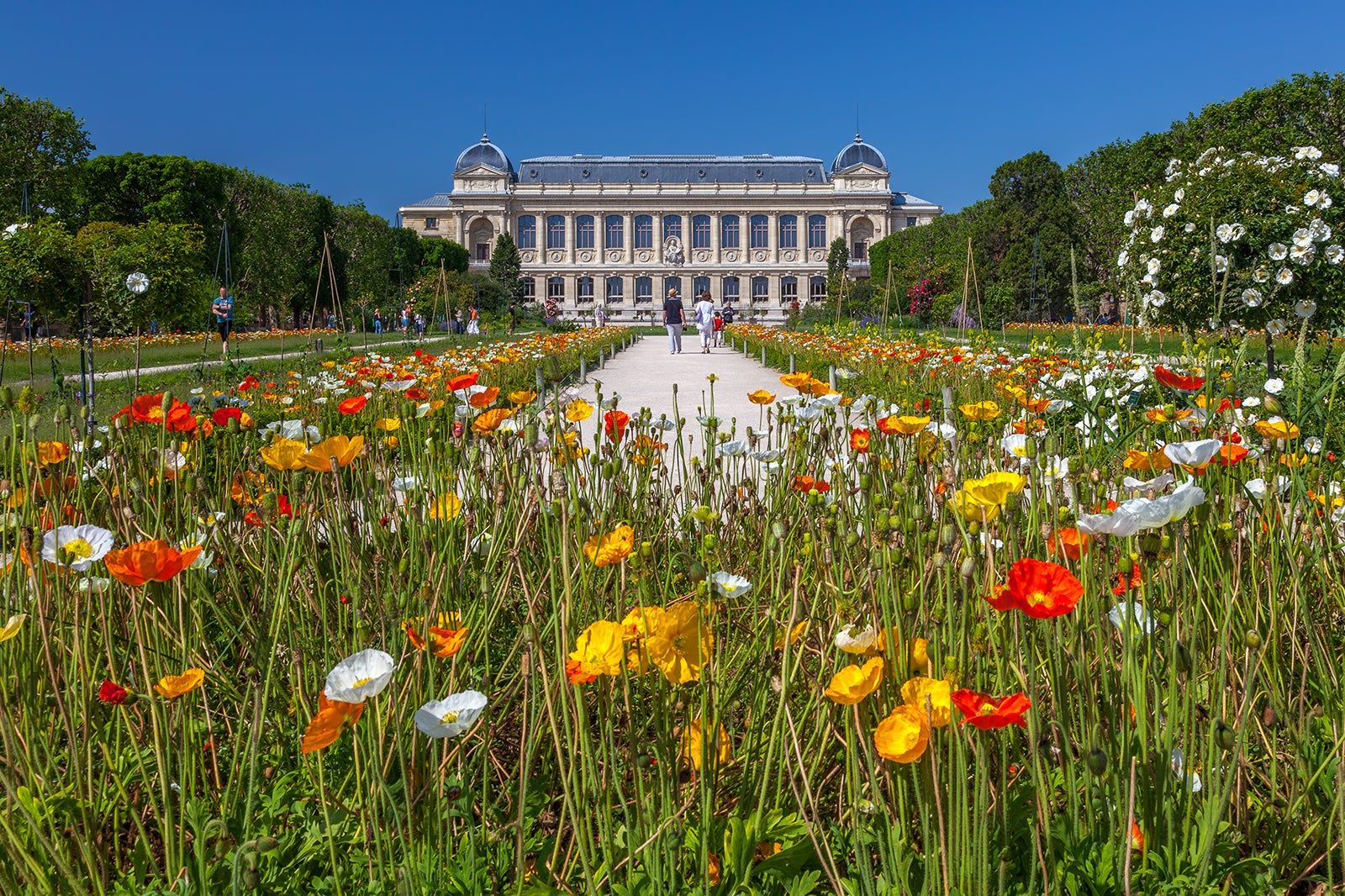 Jardin des Plantes in Paris