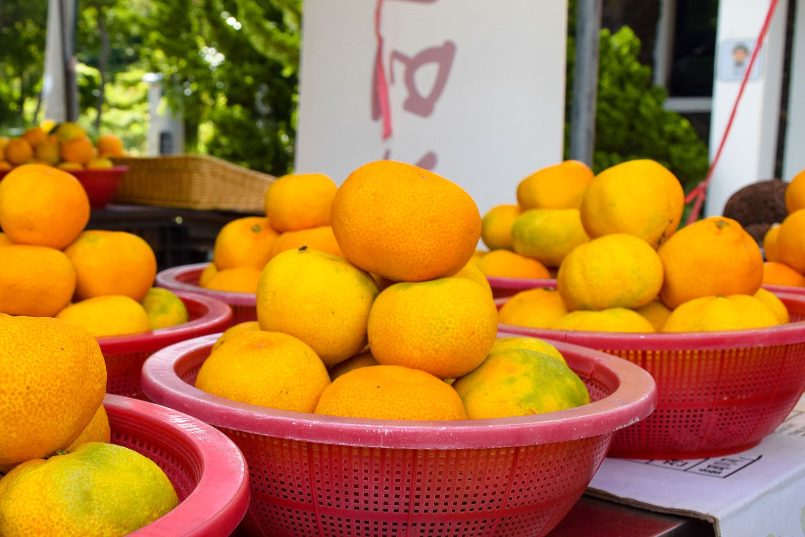 A couple of buckets of Jeju Mandarins for sale in a market.