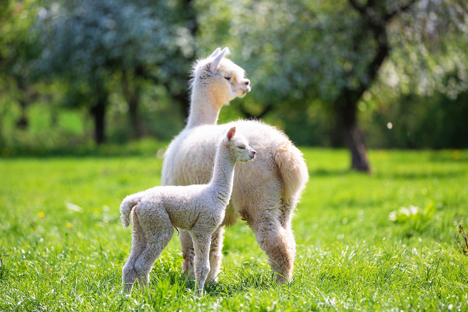 Best Things to Do in Hook