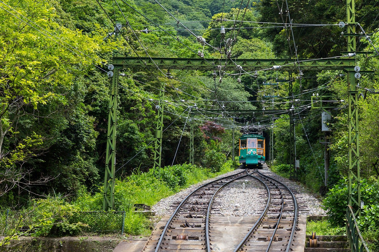 Kobe Travel Essentials