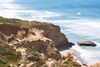 Torrey Pines State Natural Reserve in San Diego