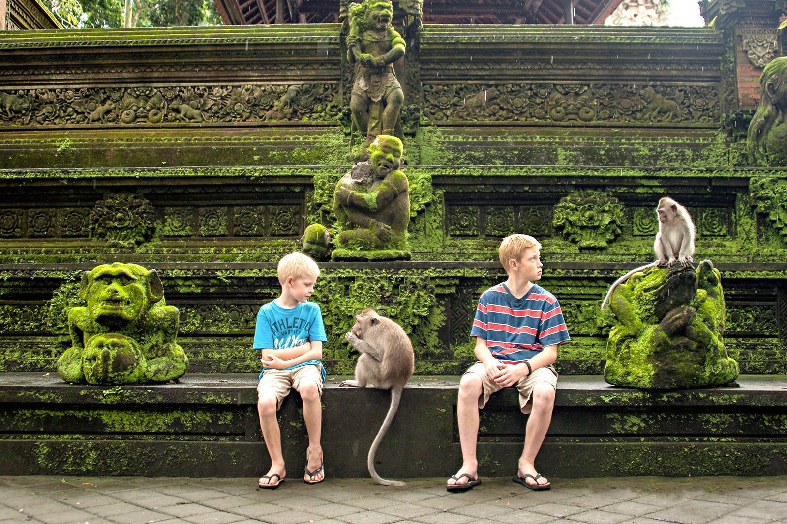 Best Things to Do in Ubud