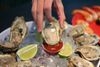 Oysters on a plate.