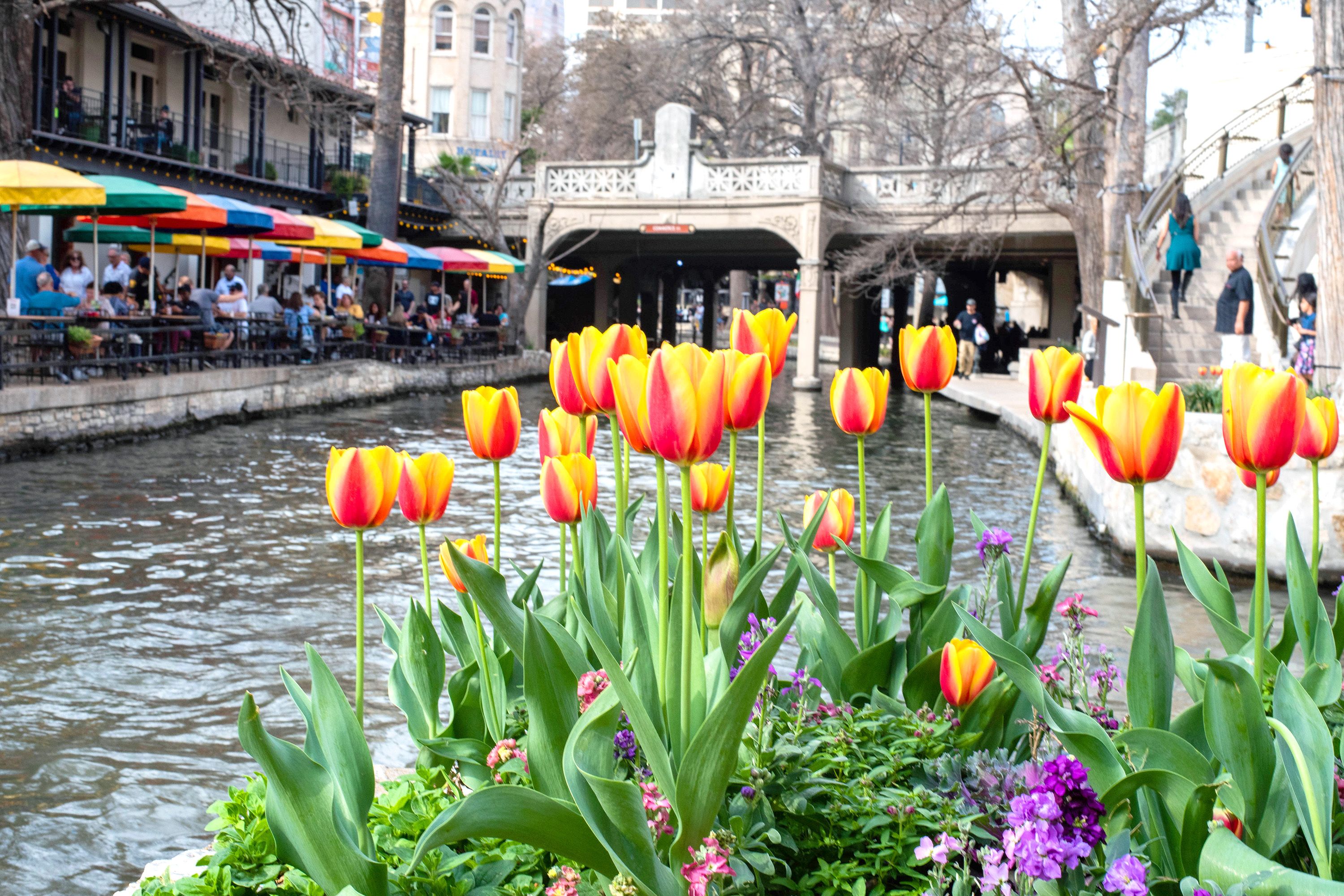 Travel Mistakes to Avoid in San Antonio