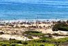 Playa del Carabassí