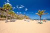 Best Things to Do in the Canary Islands