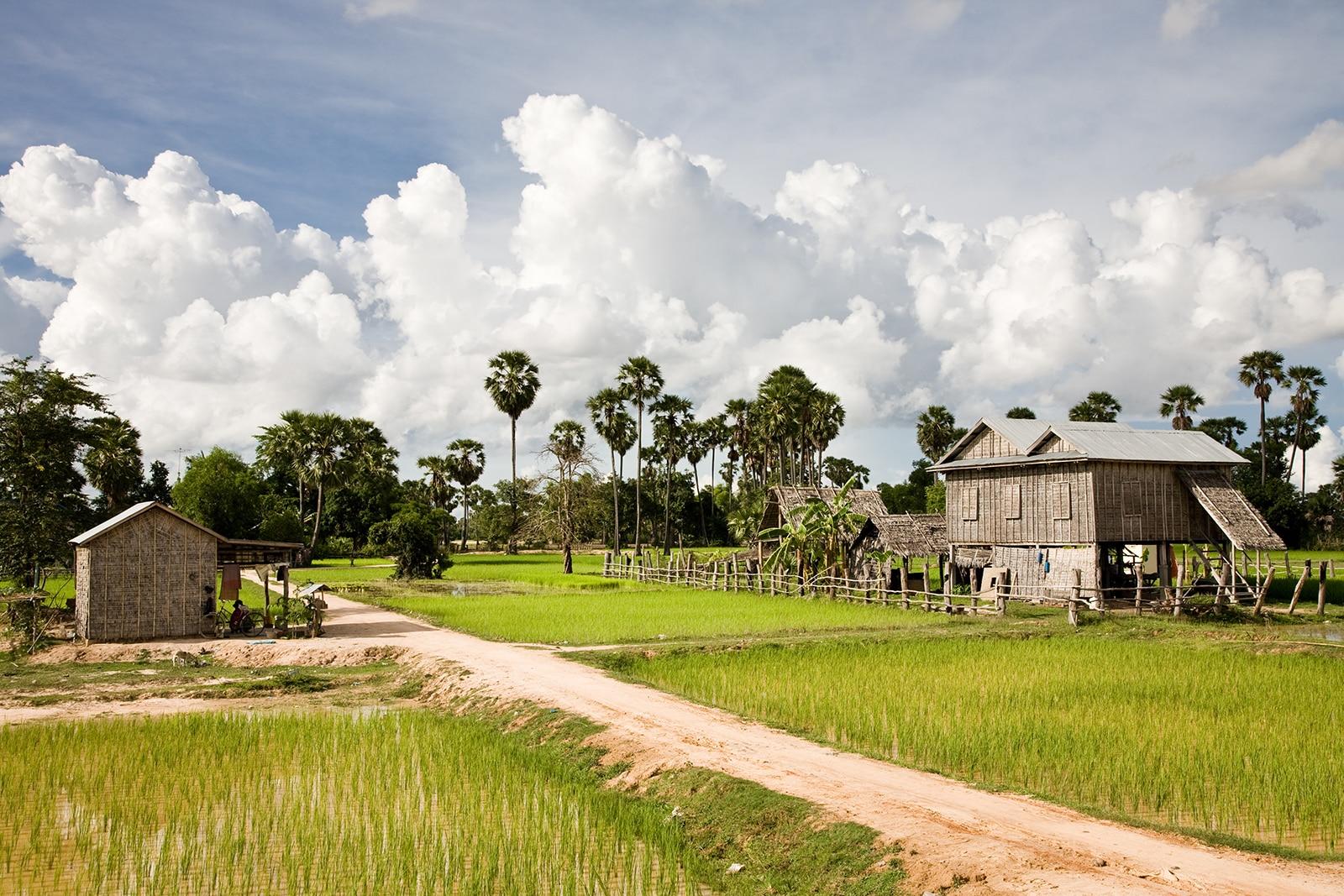 Best Things to Do in Battambang