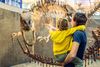 Things to Do with Kids in San Antonio