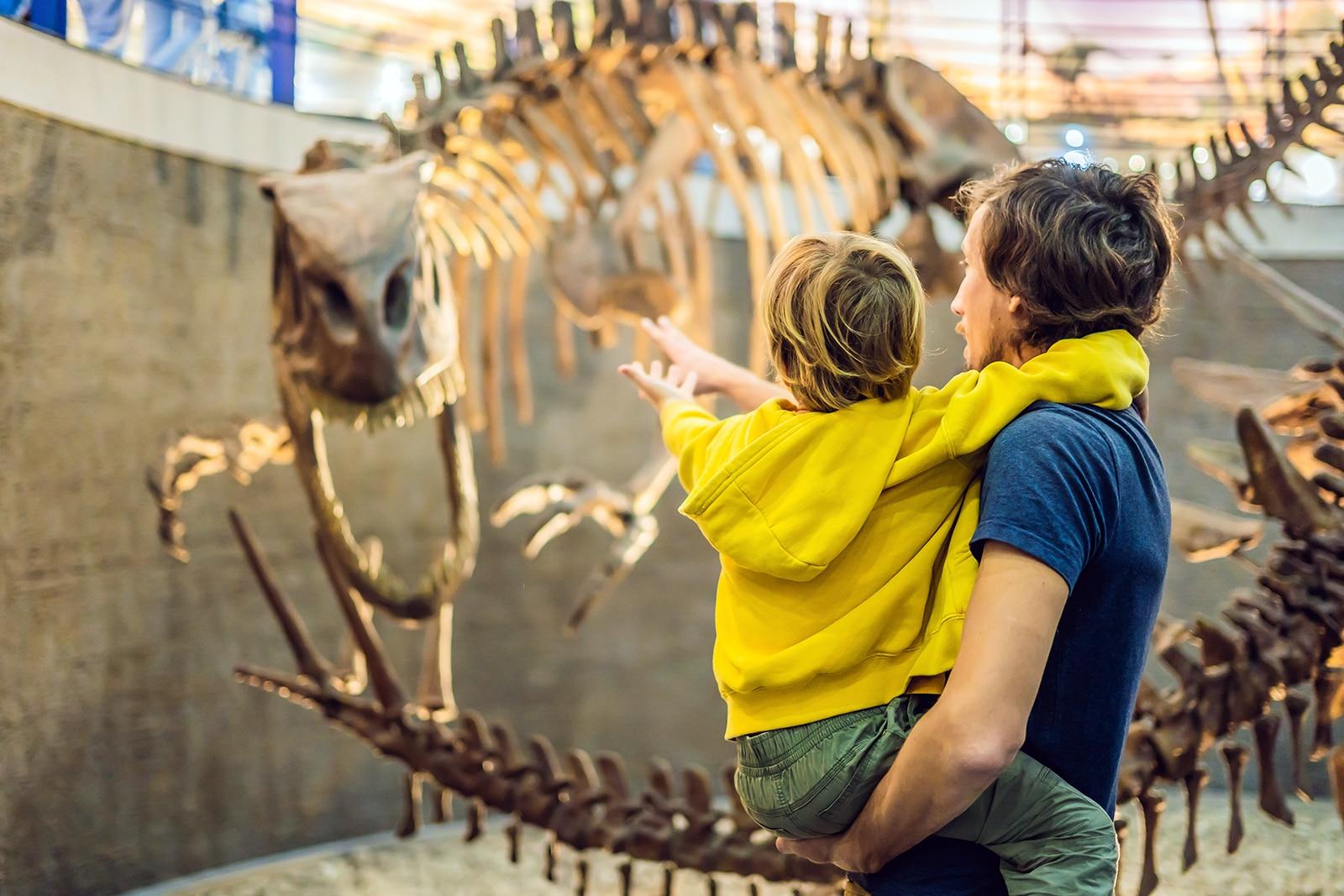 Things to Do with Kids in San Antonio