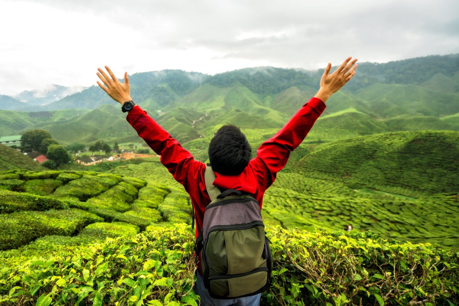 What to Do in Cameron Highlands