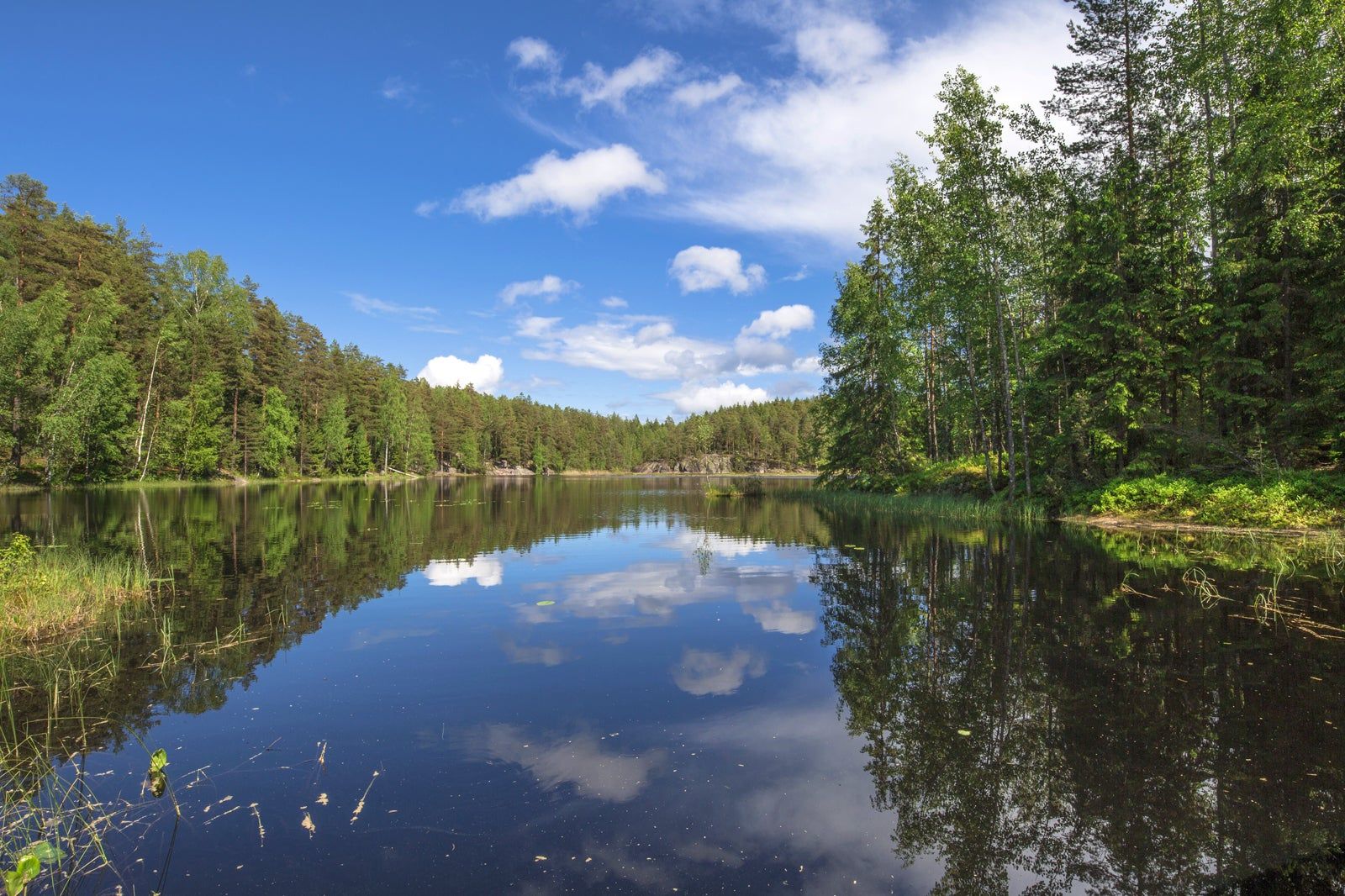 Nuuksion kansallispuisto