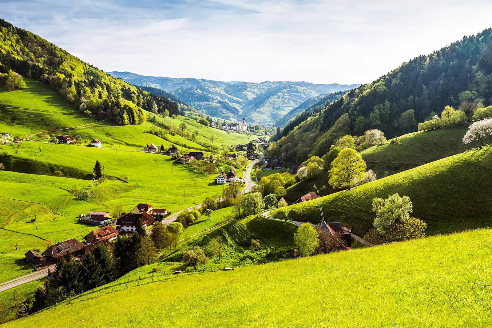 Best Things to Do in The Black Forest