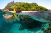 A snorkeler wearing a mask and fins glides underwater among tropical fish and coral in clear blue ocean water.