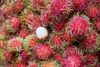 Foto de <a href="https://pixabay.com/photos/fruit-tropical-rambutan-asian-3034321/" target="_blank" rel="noreferrer">Engin_Akyurt</a> (<a href="https://creativecommons.org/share-your-work/public-domain/cc0/" target="_blank" rel="noreferrer">CC0</a>)  modificada