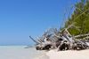 Lucayan National Park in Bahamas