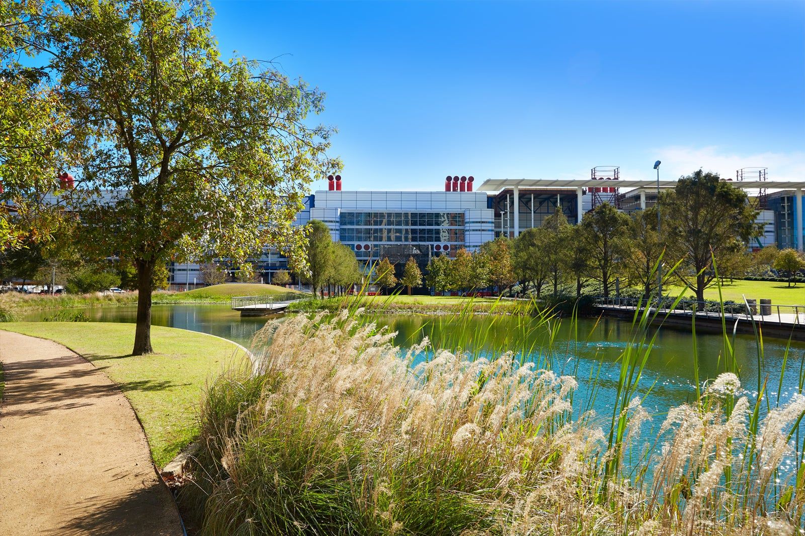 Free Things to Do in Houston