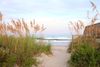 Pawleys Island in South Carolina