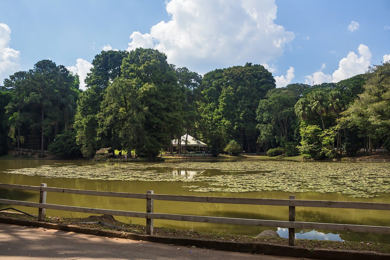 Parque Estadual da Cantareira