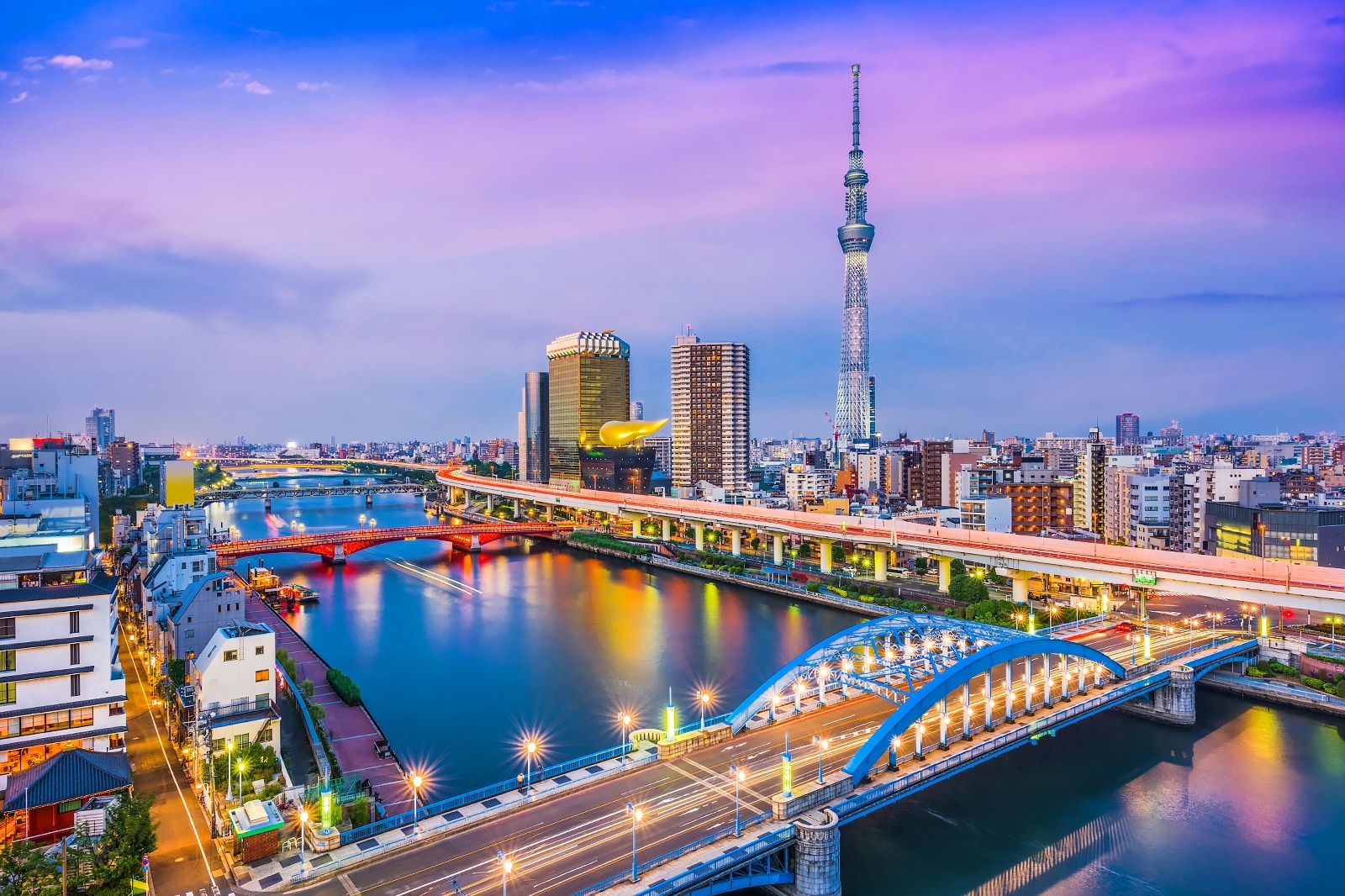 Best Tours in Tokyo