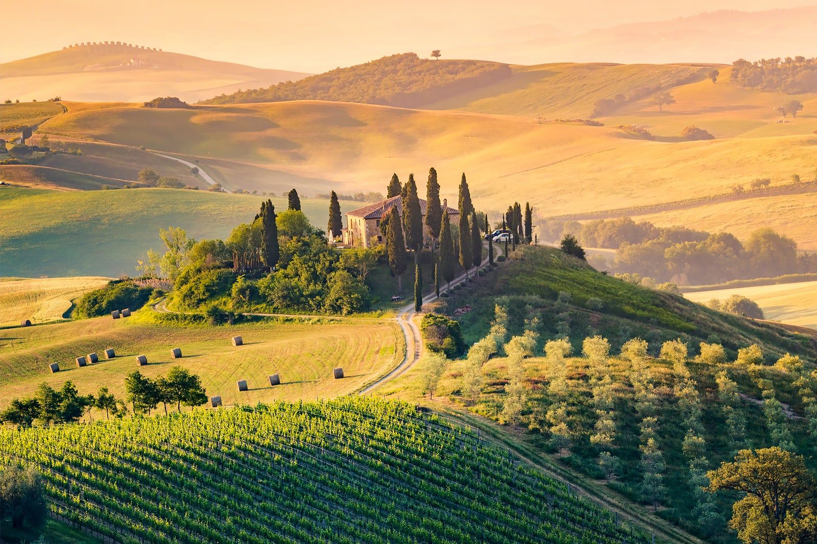 Spots in Tuscany that are famous for Bacchus' nectar