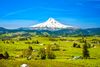 Oregon
