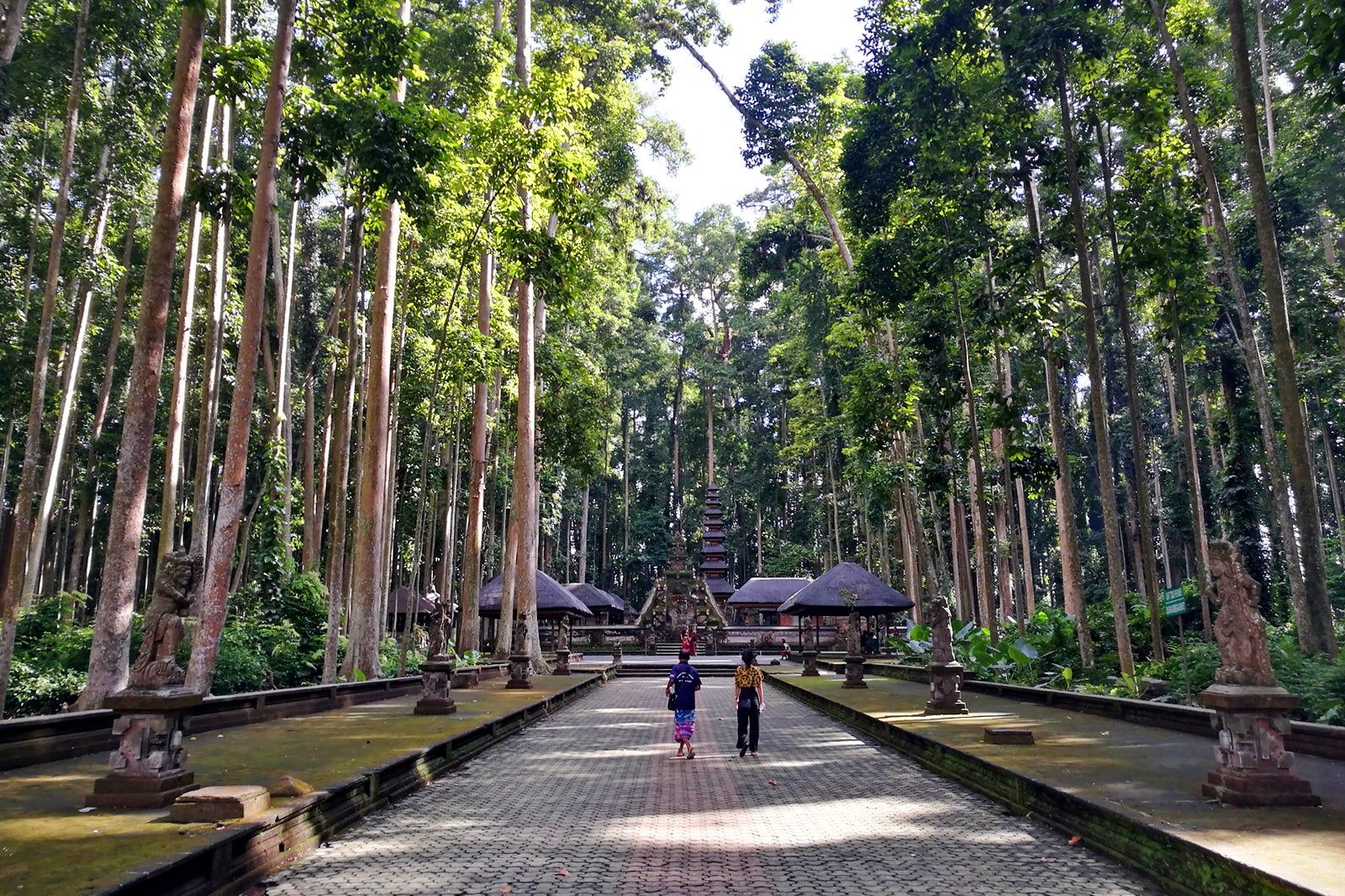 Sangeh Monkey Forest in Bali
