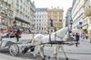 Paseo en coche de caballos en Viena