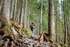 A hiker on a steep forest trail.