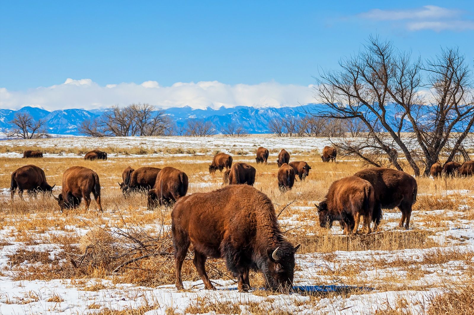 Best Natural Sights around Denver