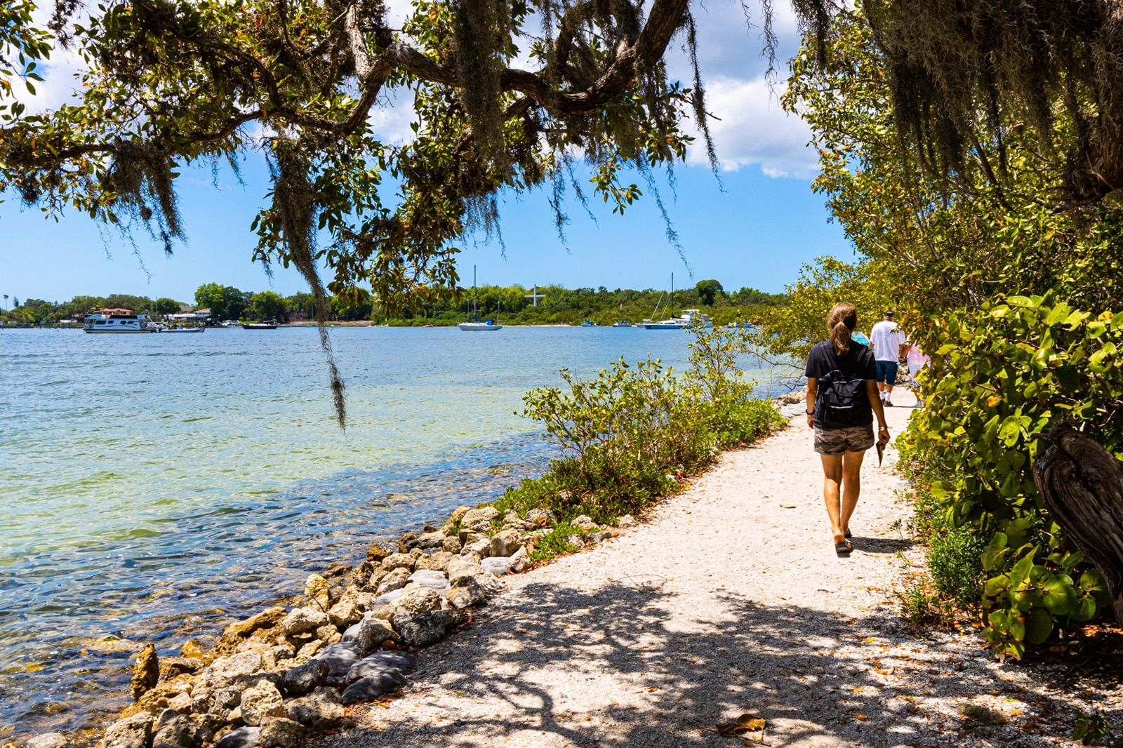 Best Things to Do in Tampa on a Small Budget