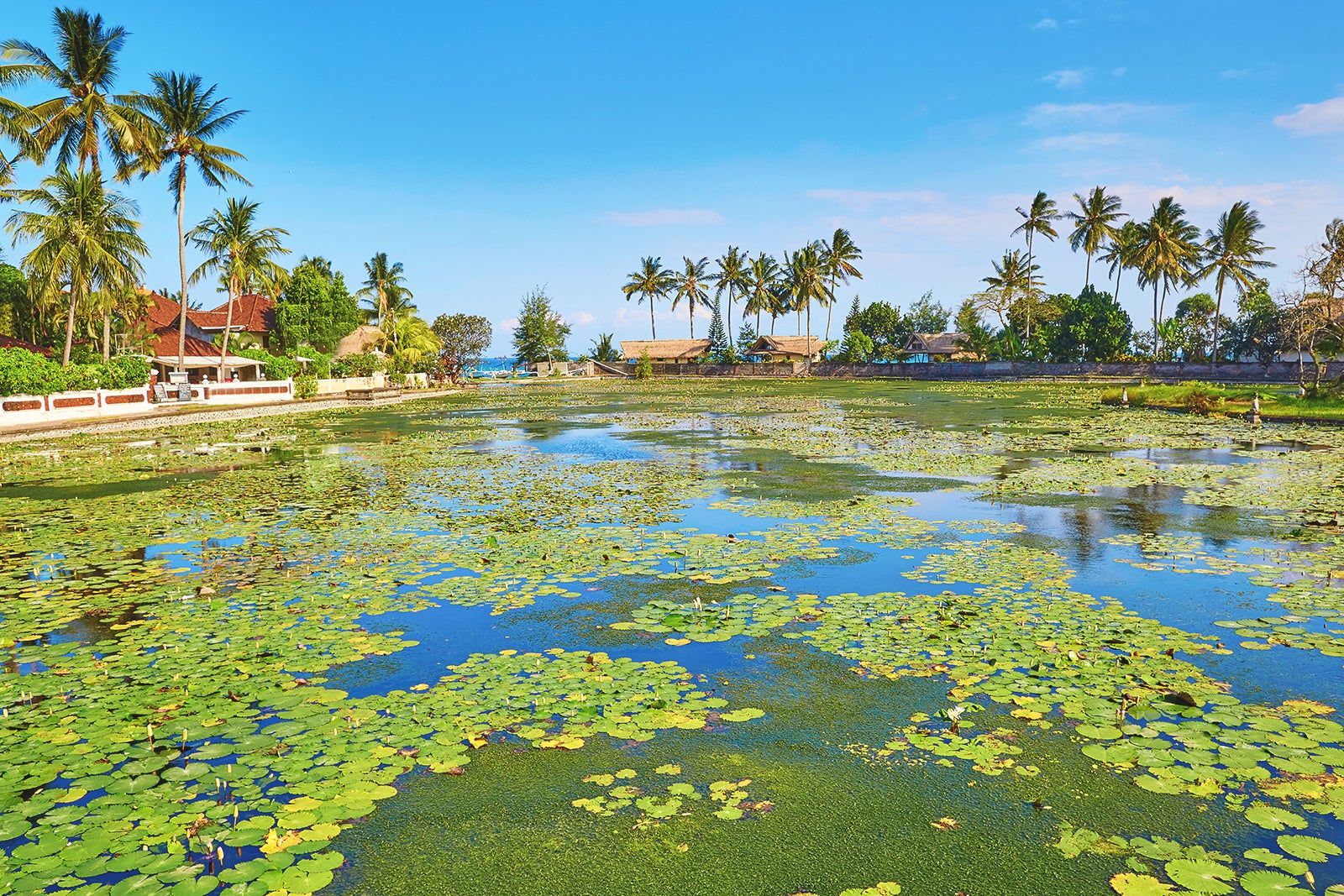 Candidasa Lotus Lagoon in Bali