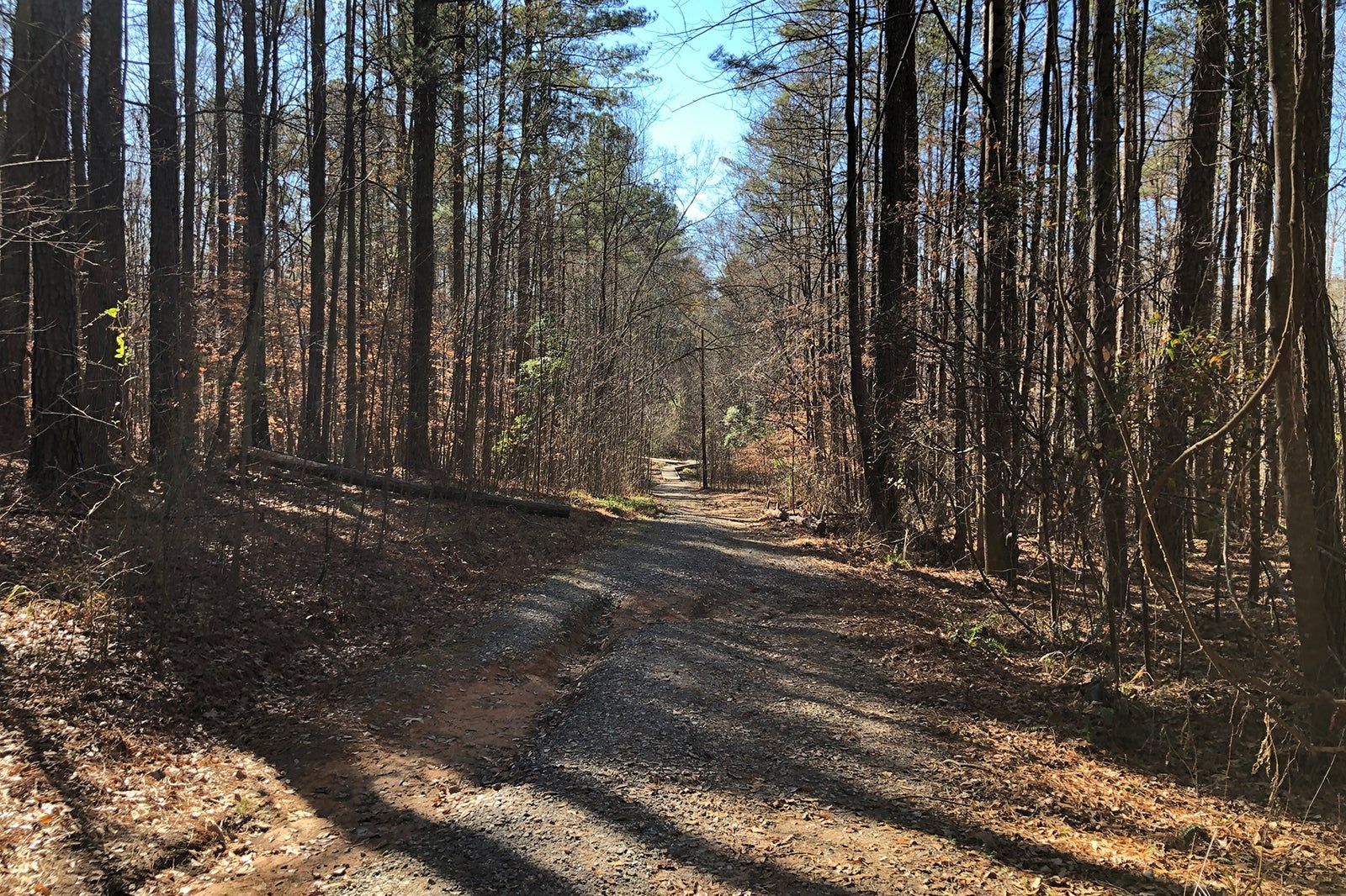 Autrey Mill Nature Preserve near Atlanta