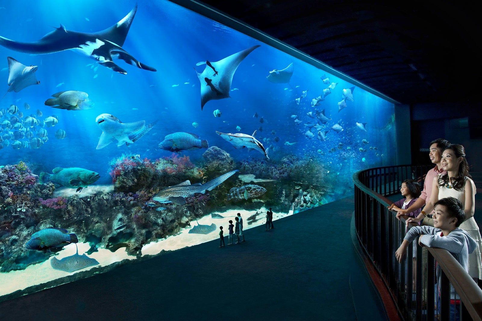 SEA Aquarium in Singapore