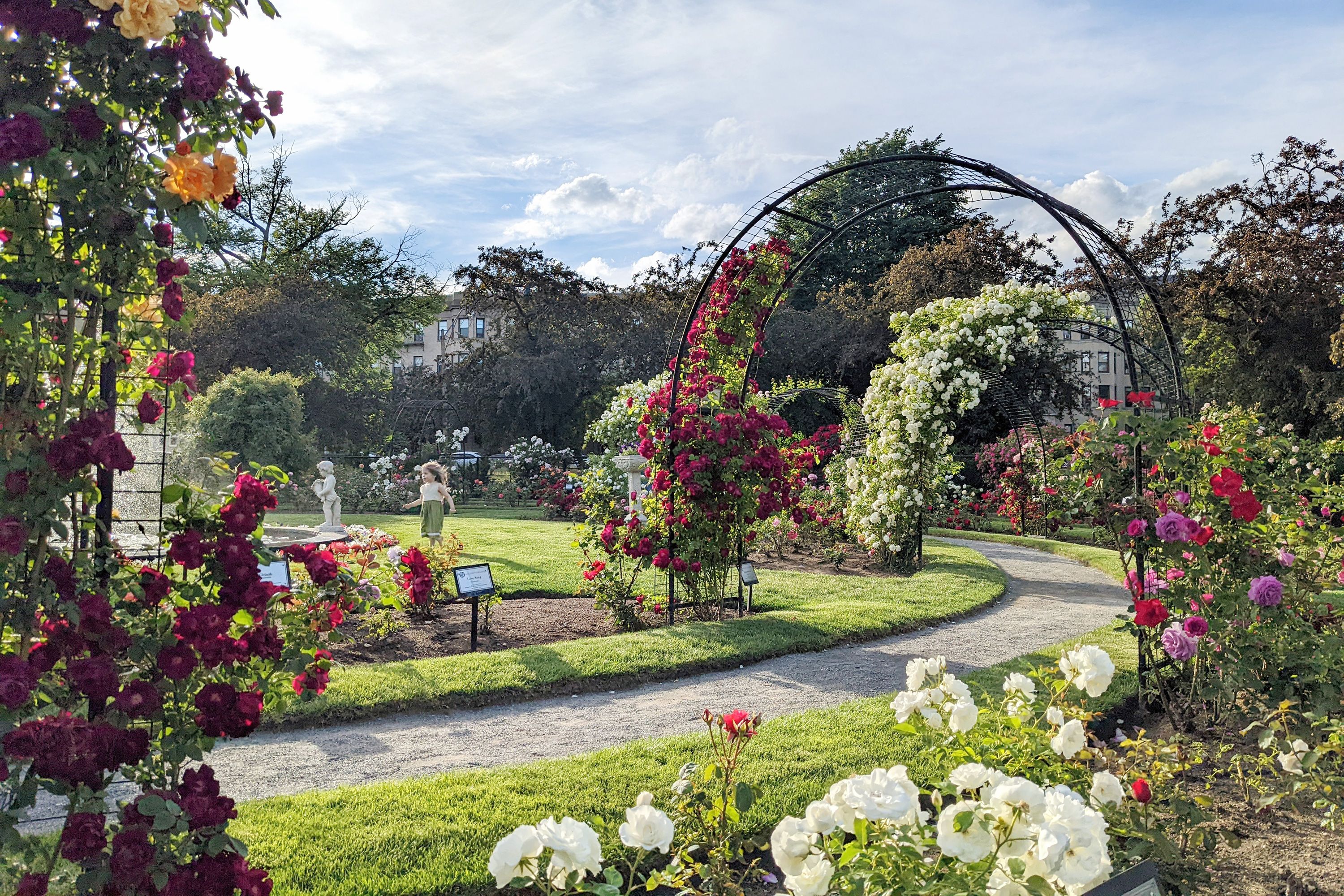A pathway and flower covered terrace in the James P. Kelleher Rose Garden in Boston.