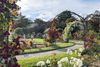 A pathway and flower covered terrace in the James P. Kelleher Rose Garden in Boston.