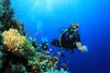 Best Dive Sites in Koh Samui