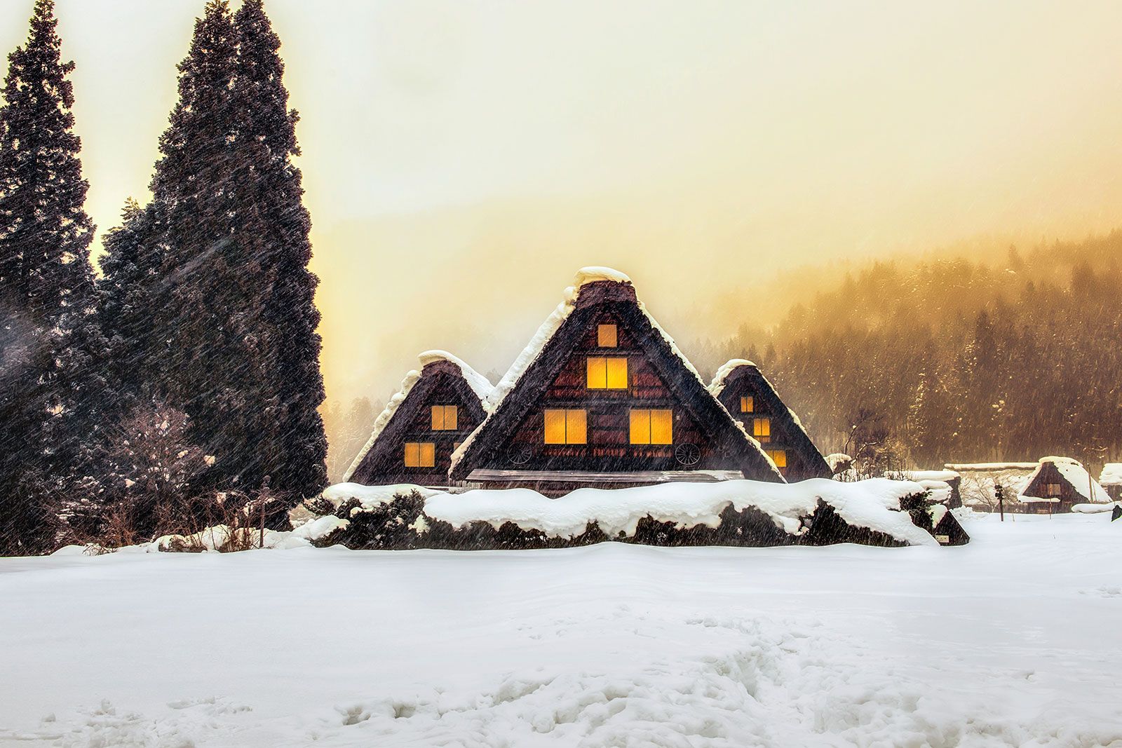 A snow-covered village house next to coniferous trees.