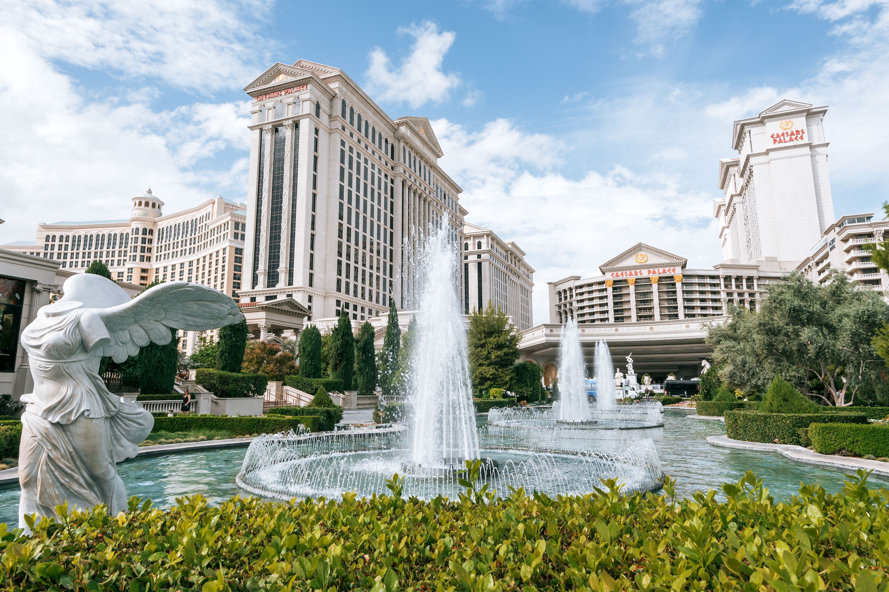 Foliage in front of fountains and buildings.