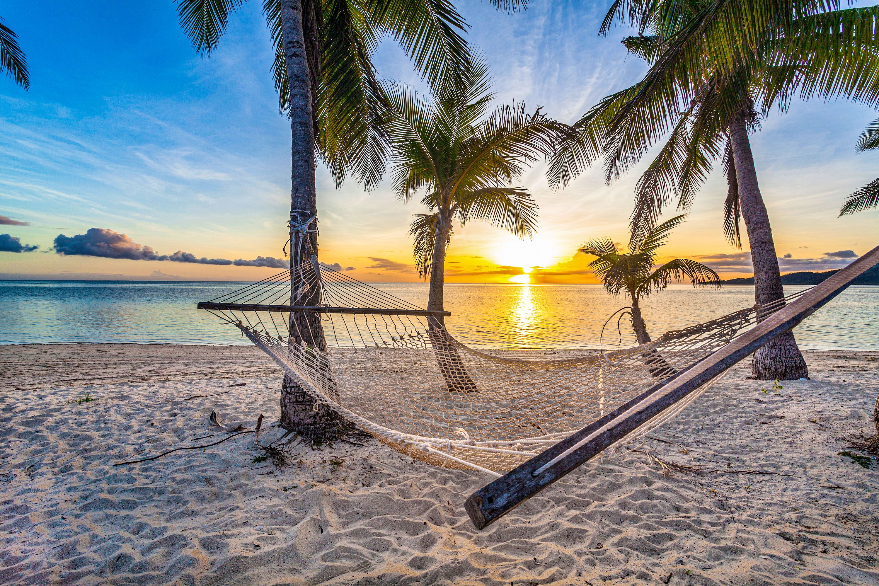 Hammock hangs between two palm trees during a sunset on a sandy beach.