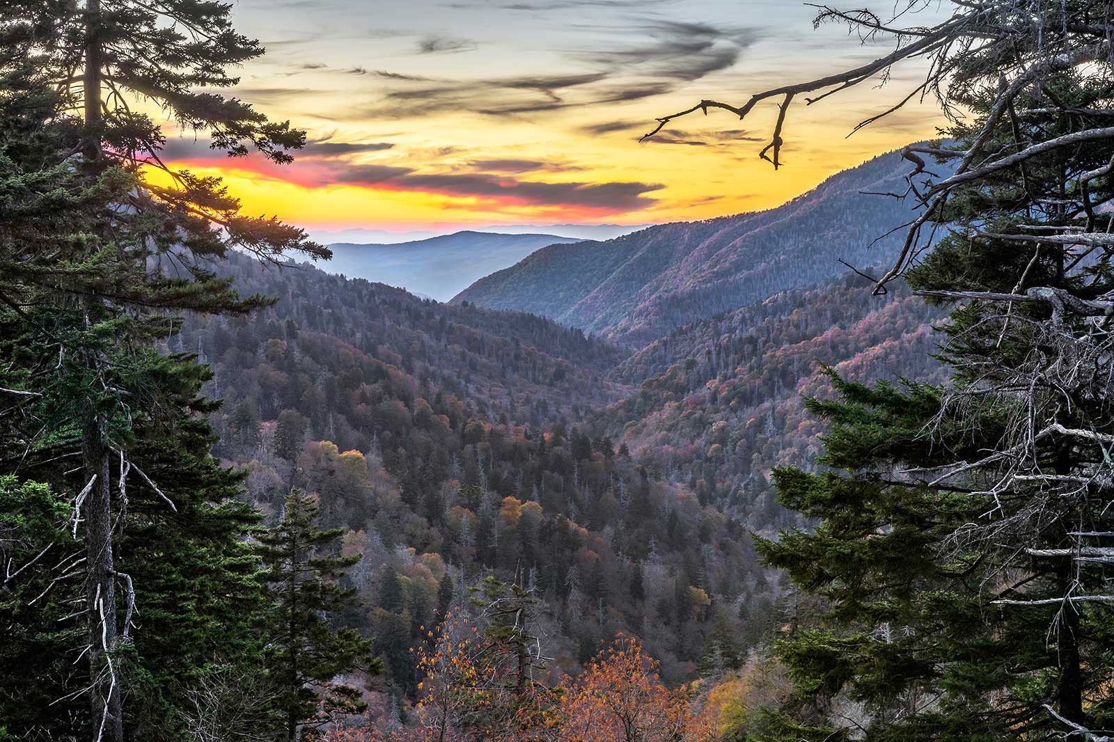 Mountains and trees.