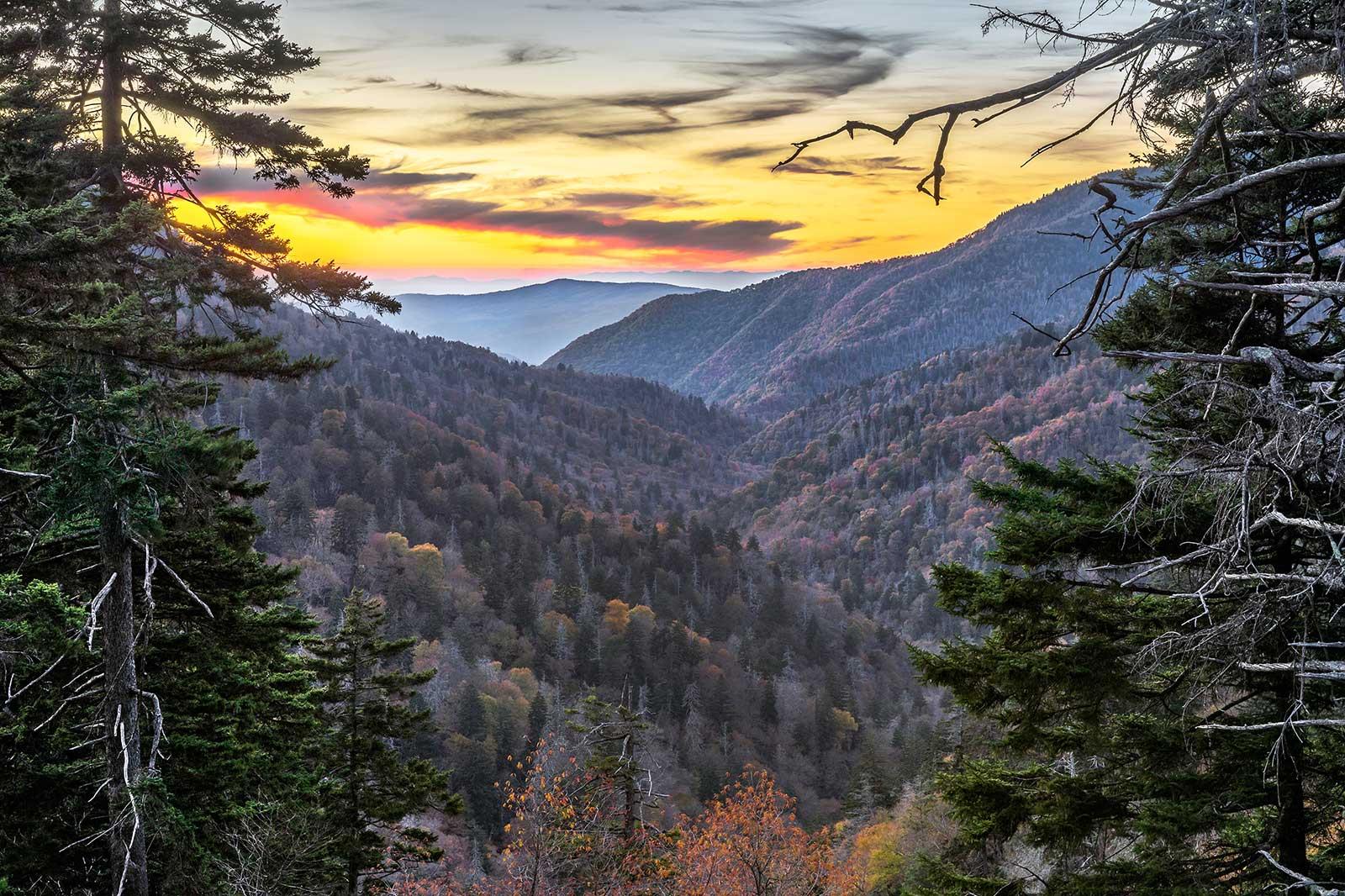 Mountains and trees.