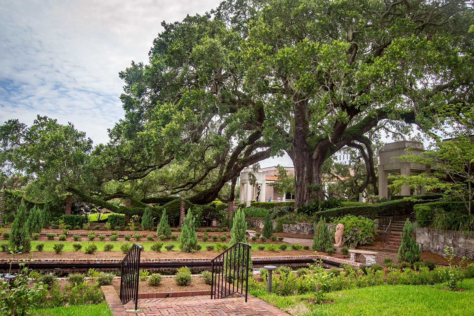 Elaborately landscaped garden with a giant oak tree over it.