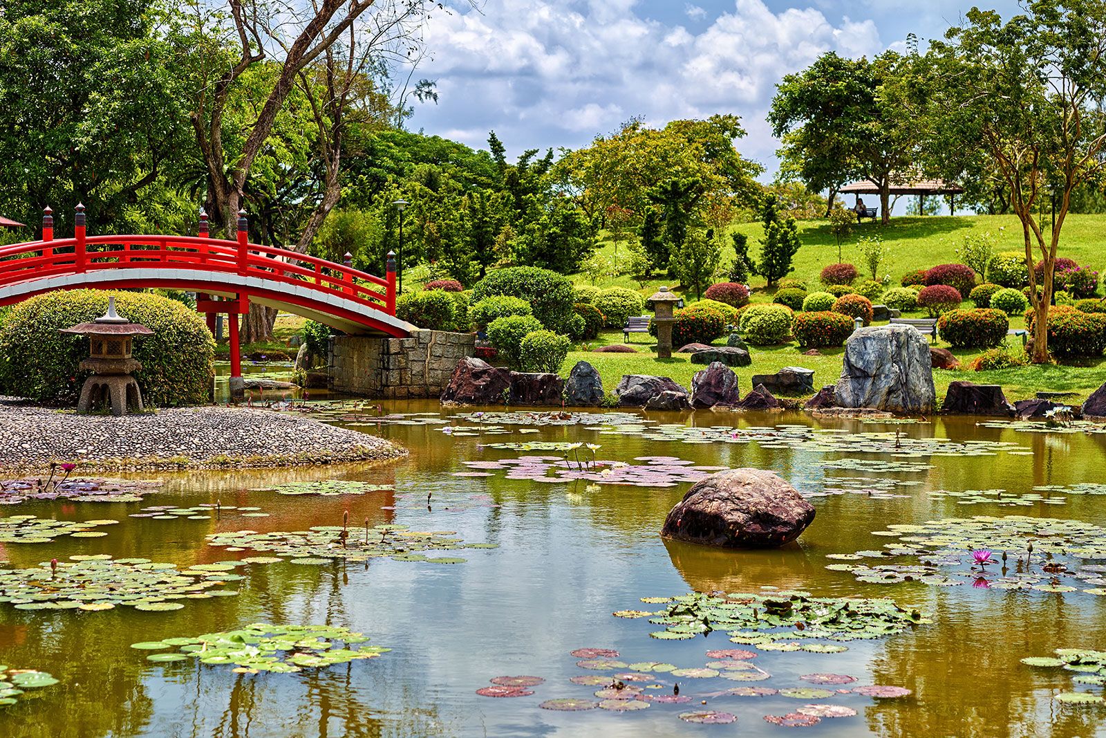 A large lily pond sits in verdant parkland with a bright red bridge on a sunny day