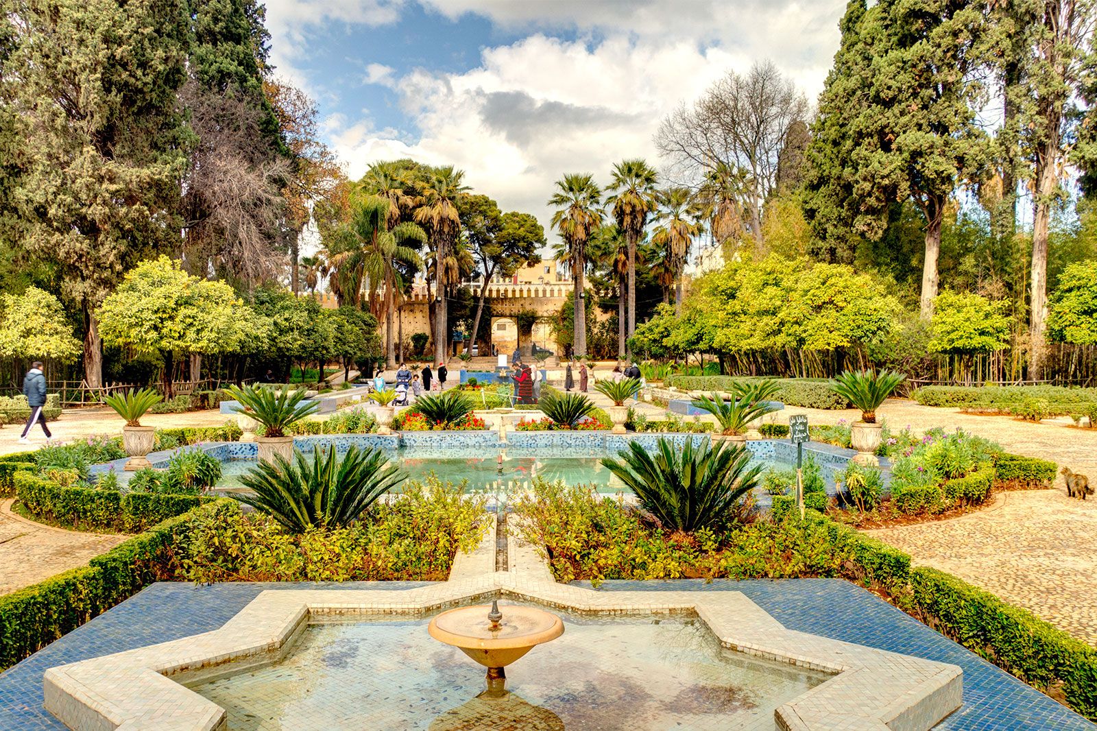 A garden and park with a fountain in a city.