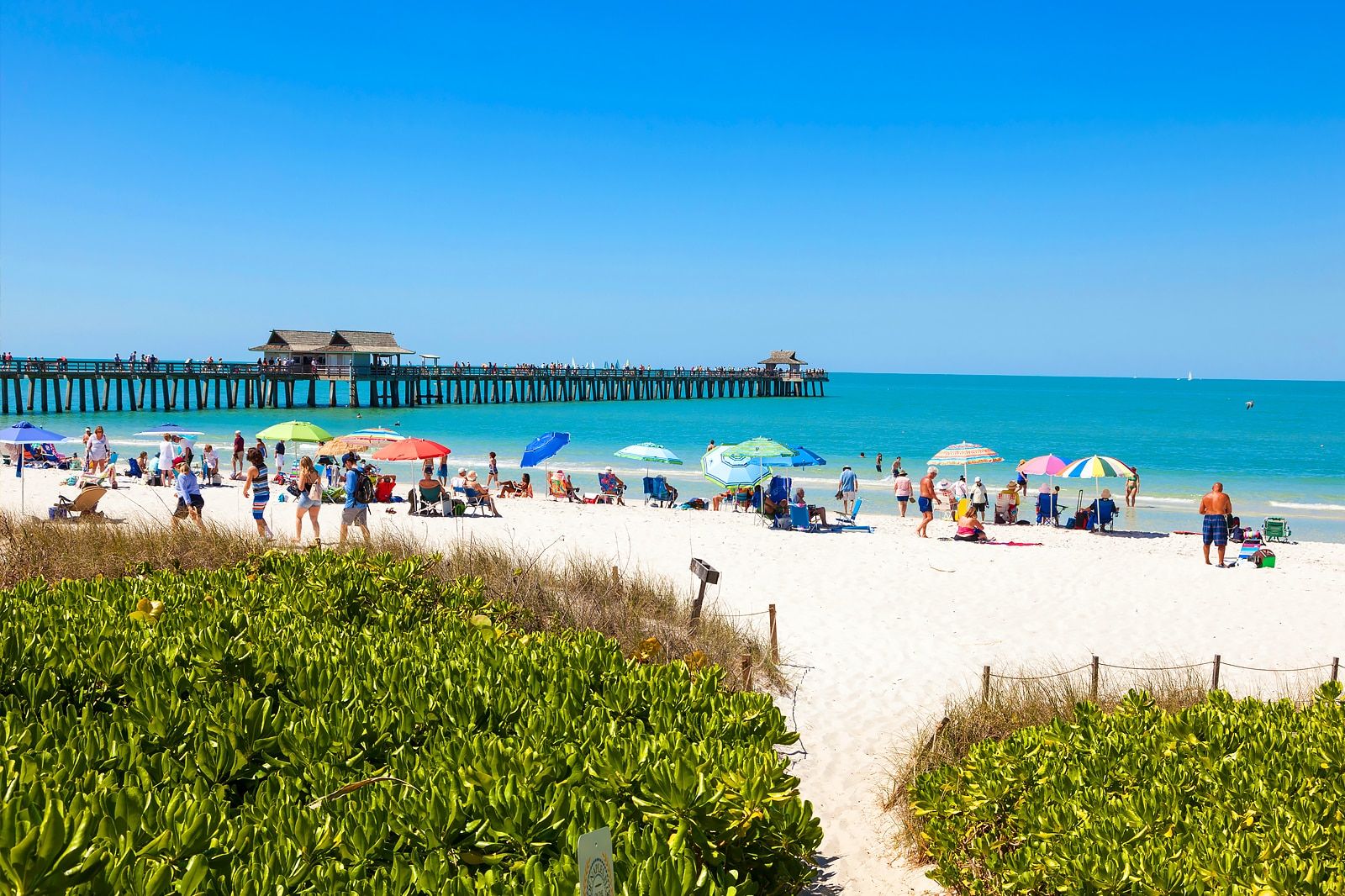 Best Things to Do in Naples, Florida