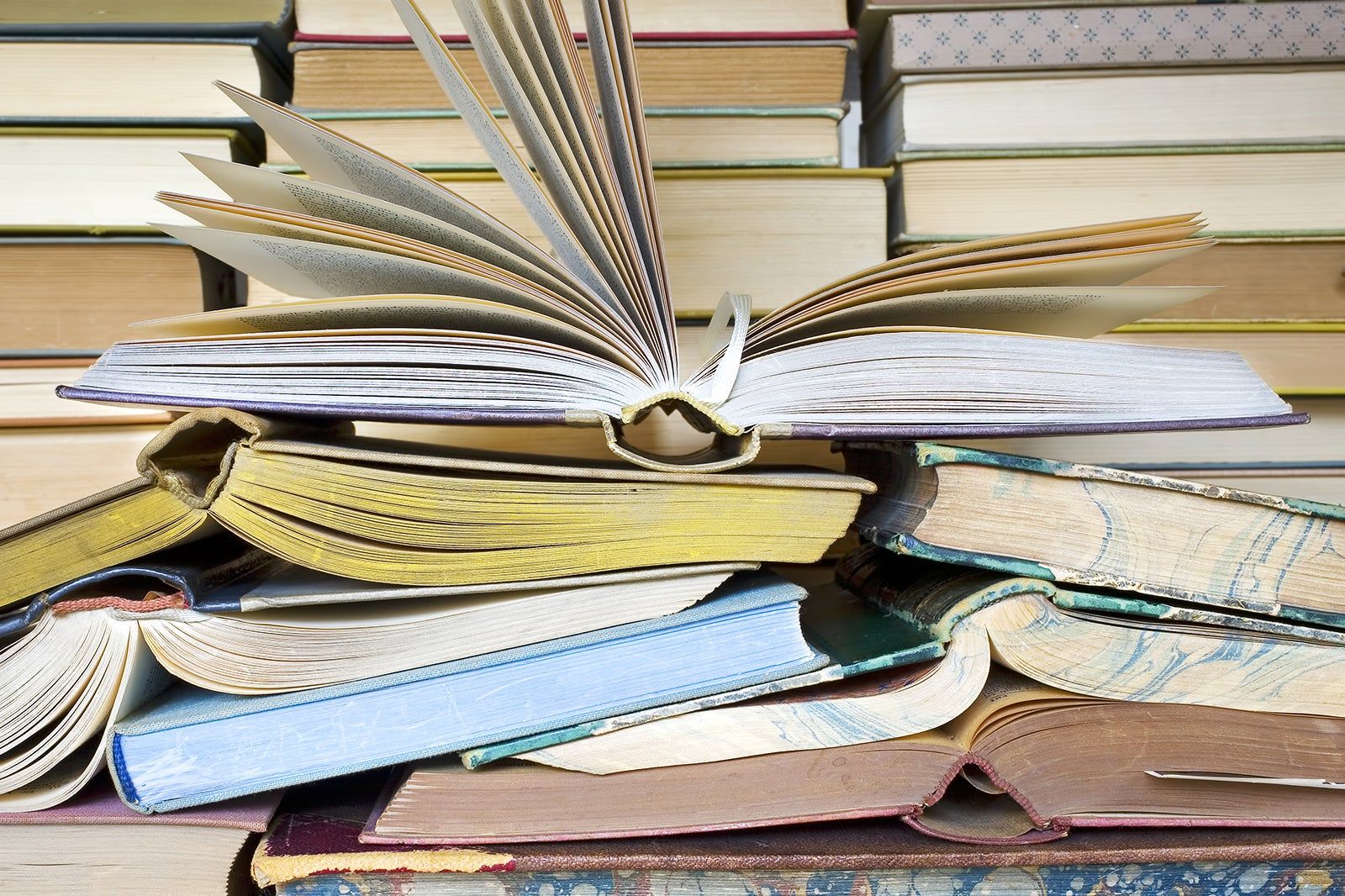 New Orleans Literary Festival