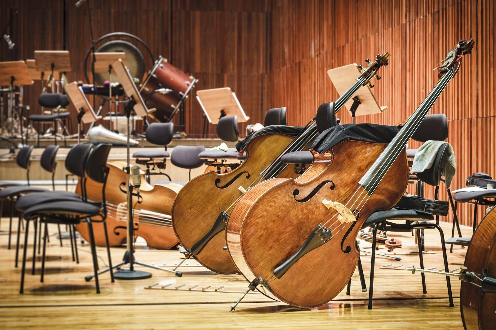 Symphony Orchestra